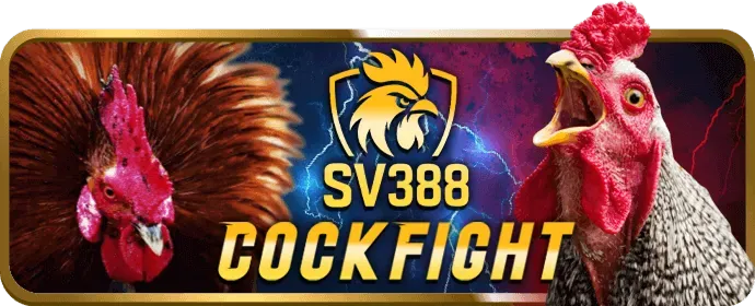 Cá cược tennis chuyên nghiệp tại vibet casino