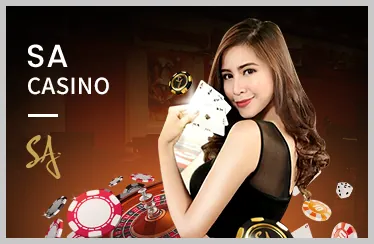 Tiện Lợi Mọi Lúc Mọi Nơi với vibet casino